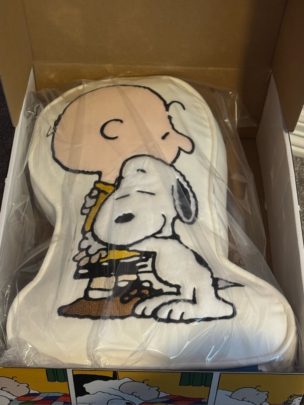 Peanuts Charlie Brown & Snoopy Plush Pillow decor